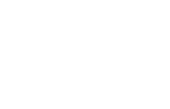 Premium logo