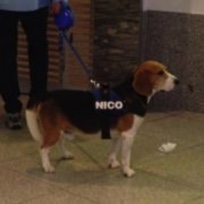 Nicolas